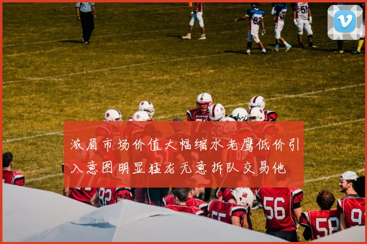浓眉市场价值大幅缩水老鹰低价引入意图明显猛龙无意拆队交易他